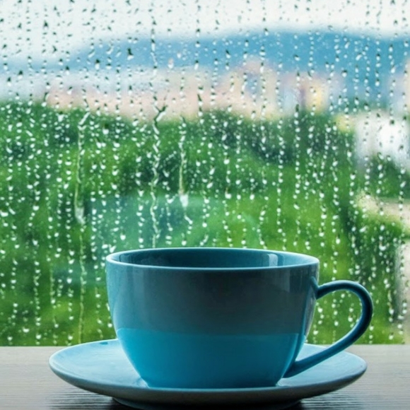 Meet your Posher, Andi - Picture 4 of 4